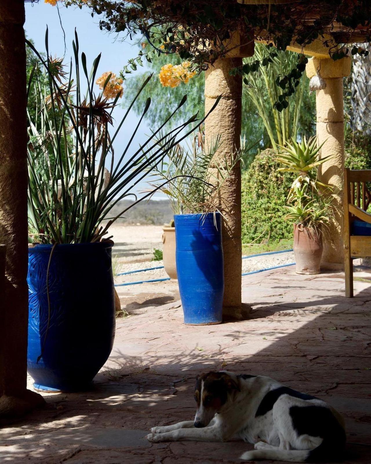 L'Air De La Mer Sidi Kaouki Exterior photo